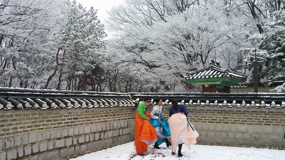 Changdeokgung Secret Garden