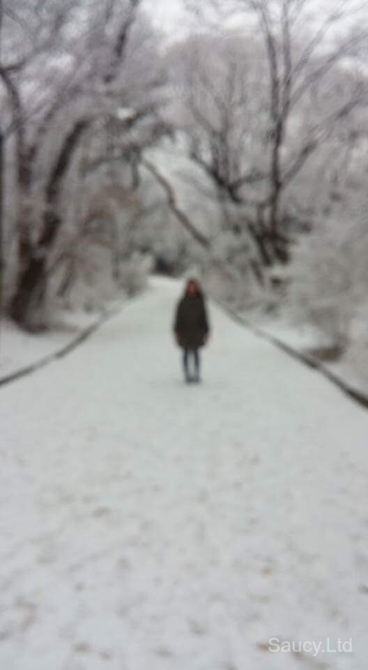 Changdeokgung Secret Garden