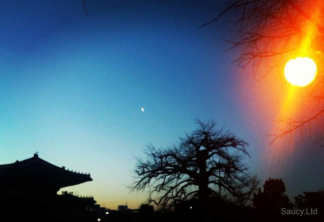 Changdeokgung Secret Garden