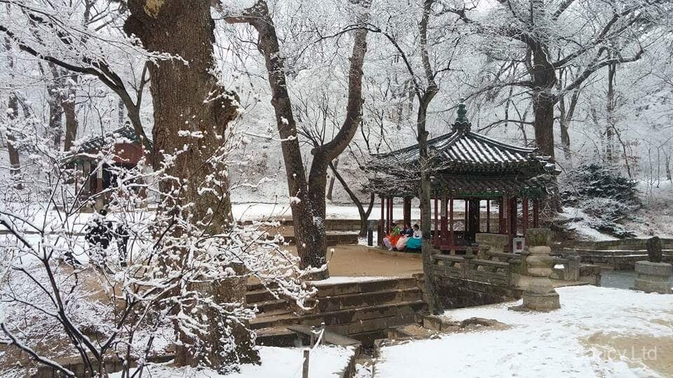 Changdeokgung Secret Garden