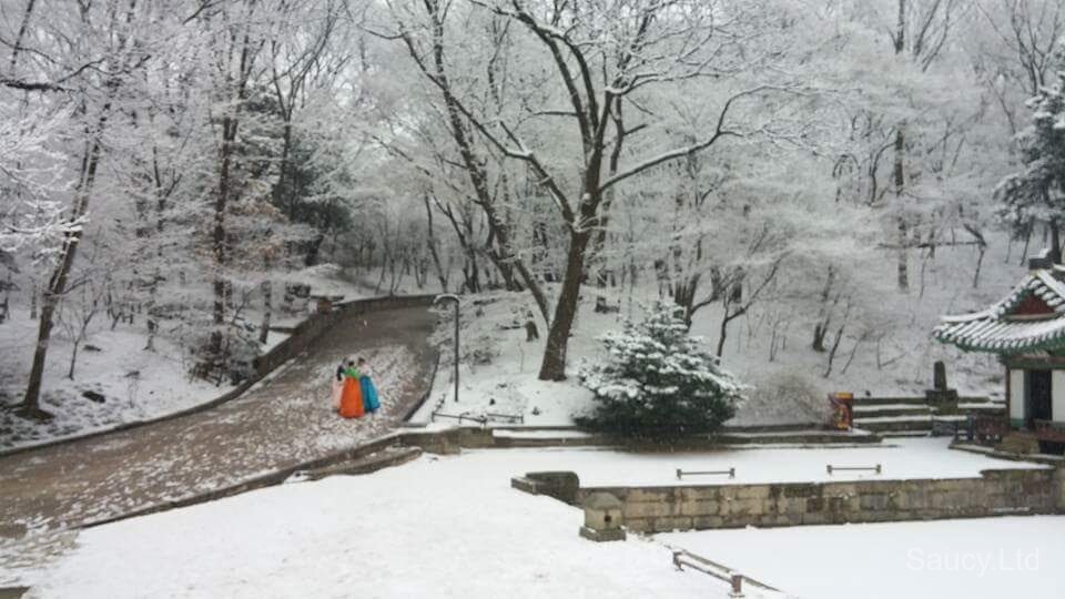 Changdeokgung Secret Garden