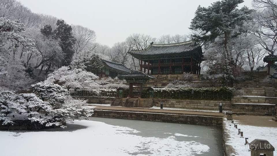 Changdeokgung Secret Garden