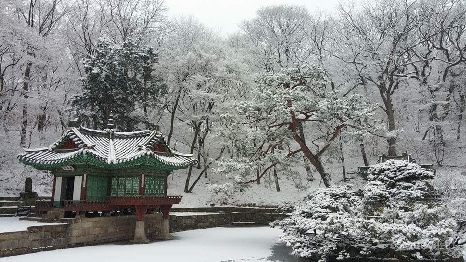 Changdeokgung Secret Garden