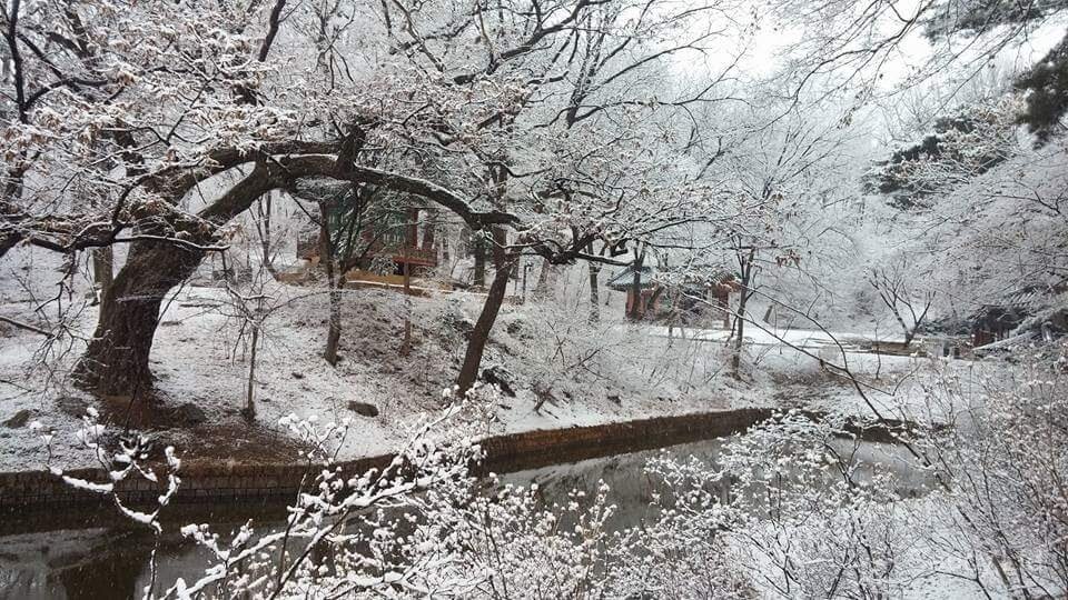 Changdeokgung Secret Garden