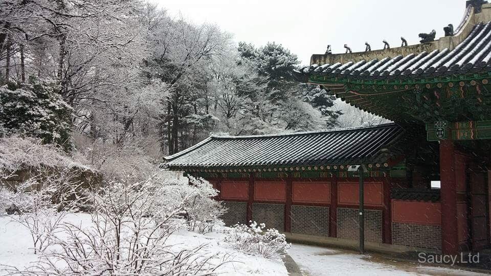 Changdeokgung Secret Garden
