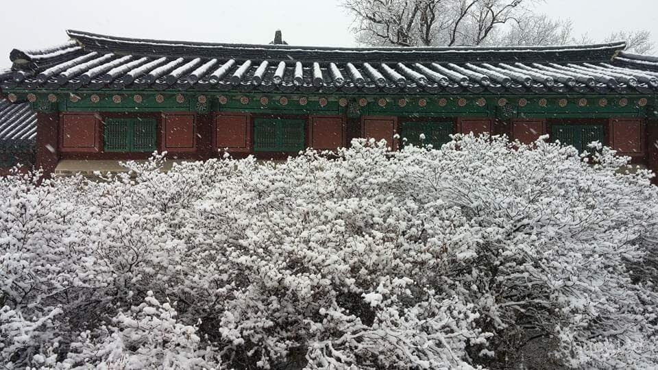 Changdeokgung Secret Garden